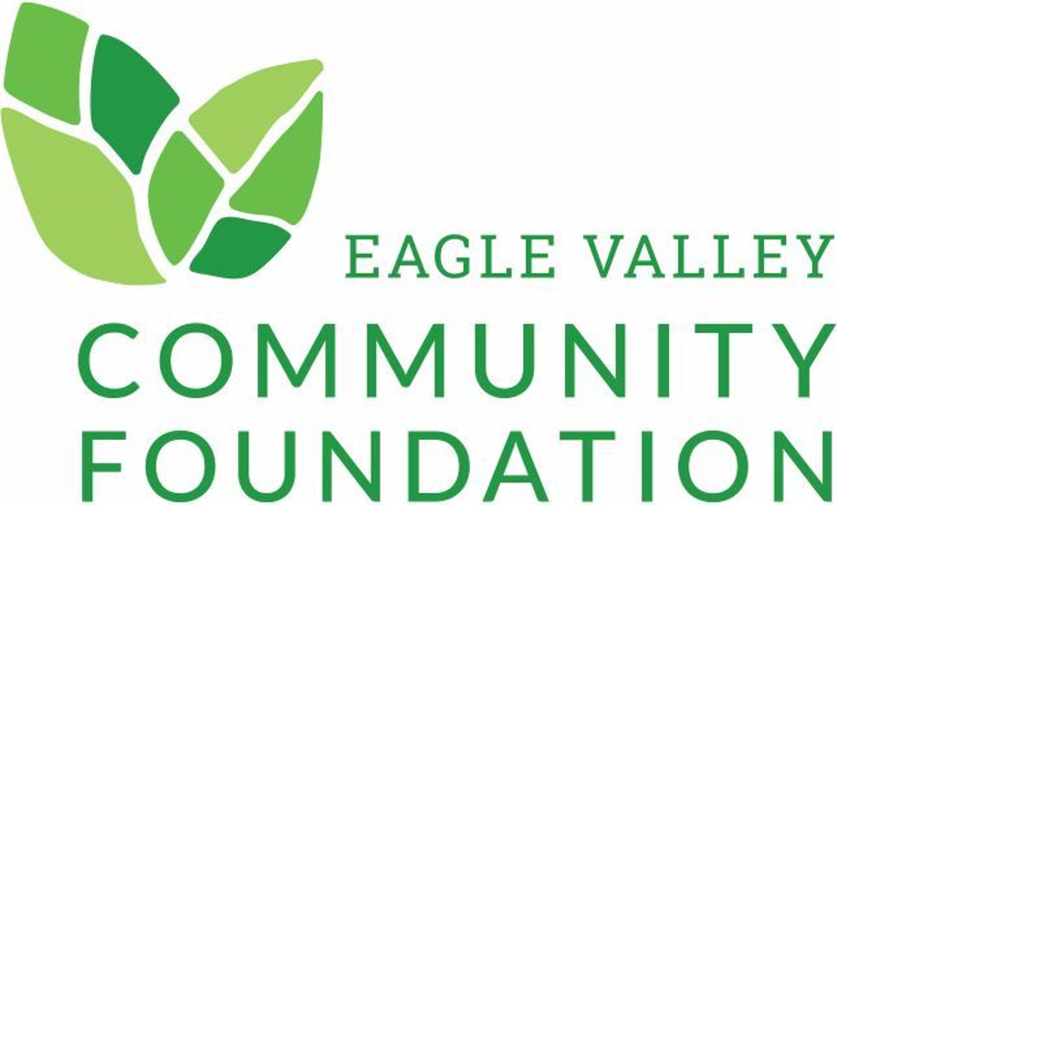 Eagle Valley Community Foundation Colorado Gives 365
