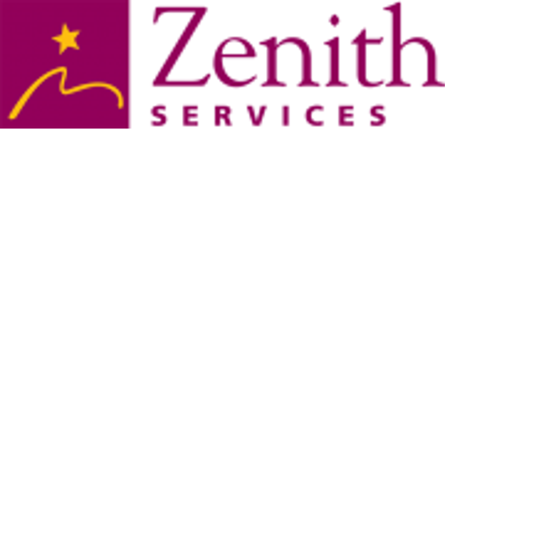 Zenith Services Incorporated GiveMN