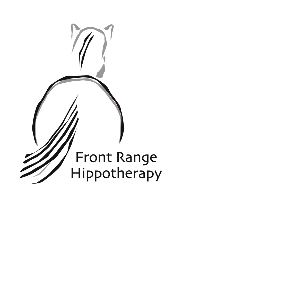 Front Range Hippotherapy Colorado Gives 365