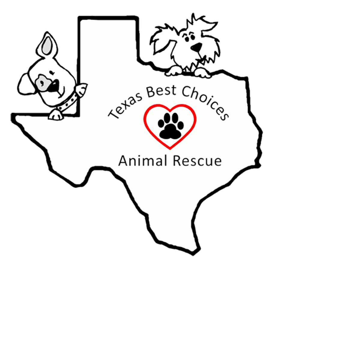 here-s-what-you-need-to-know-to-learn-how-to-start-an-animal-rescue