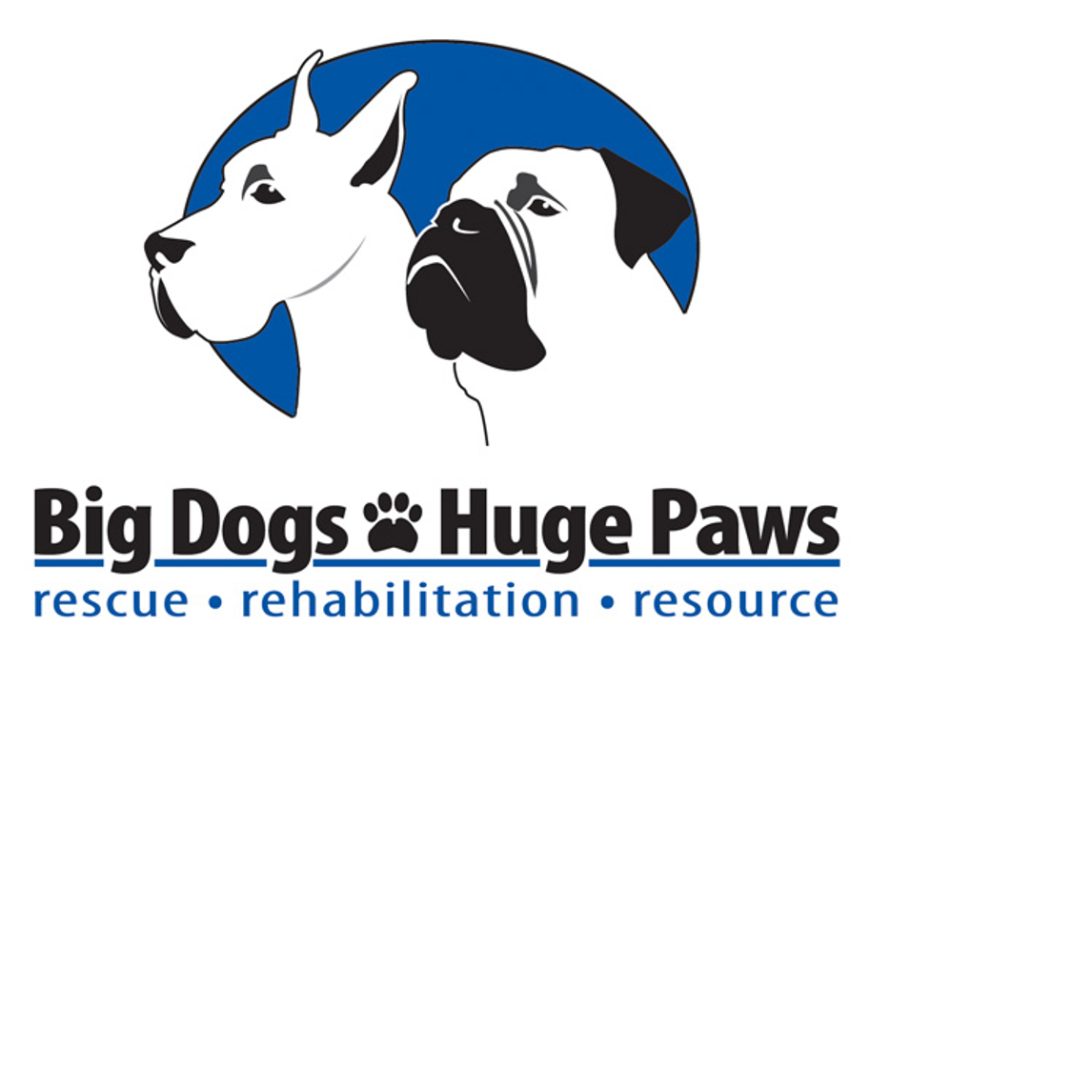 Big Dogs Huge Paws Colorado Gives 365