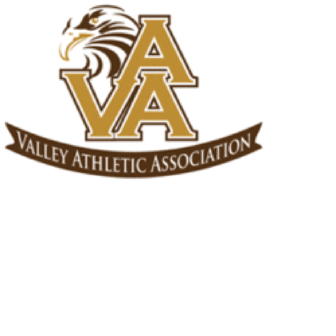 Valley Athletic Association | GiveMN