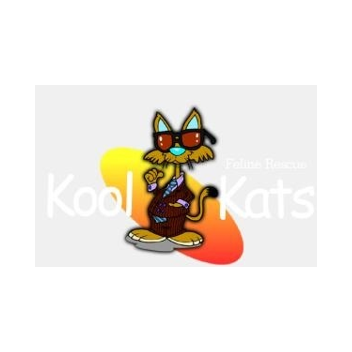 Kool Kats Feline Rescue | North Texas Giving Day