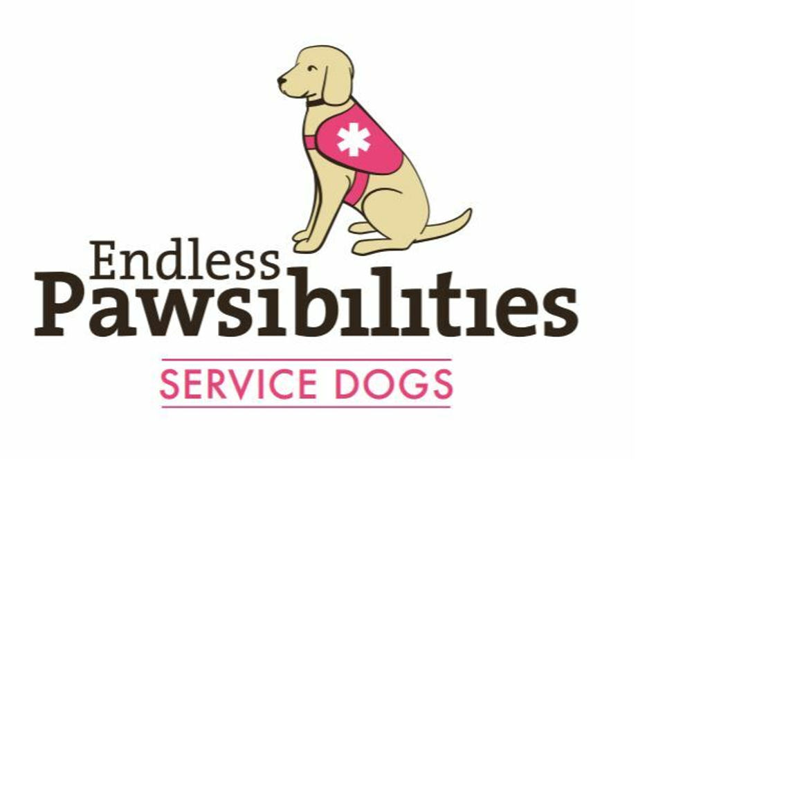 endless-pawsibilities-service-dogs-colorado-gives-365