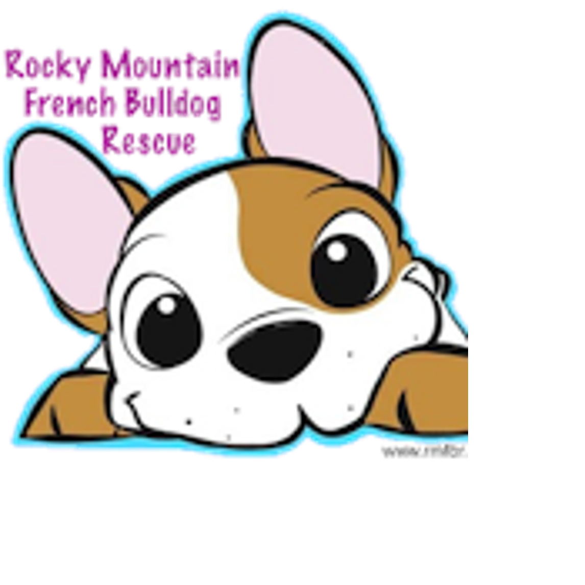 22+ French Bulldog Rescue Colorado
