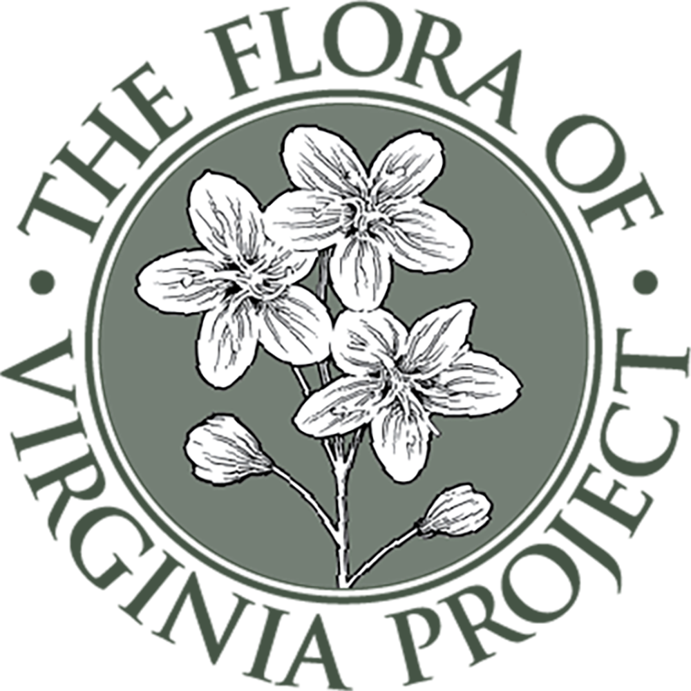 Foundation of the Flora of Virginia Project Inc | Give Local Piedmont