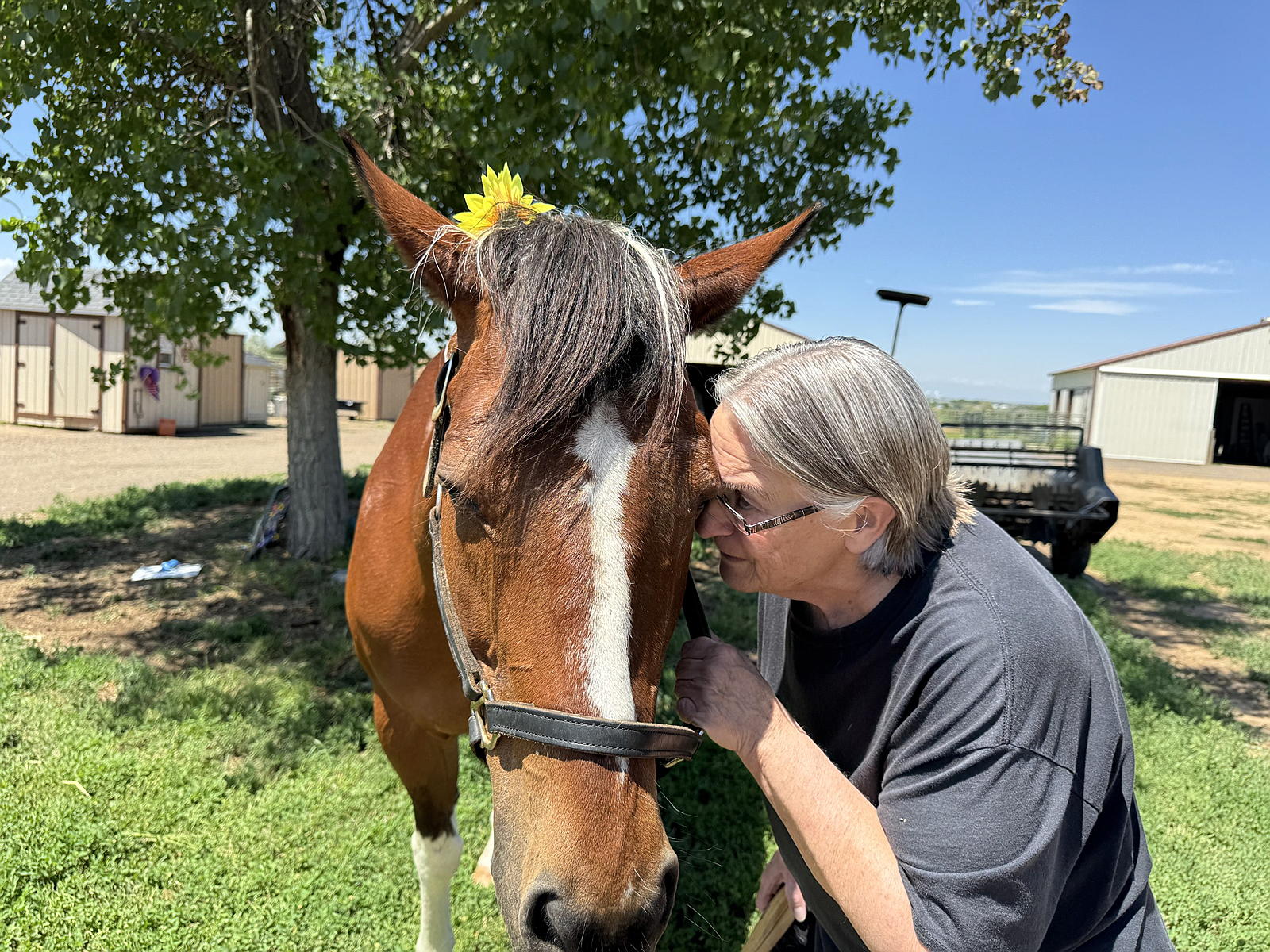 A longtime friend of the herd shares a quiet moment with a Mane Joy horse
