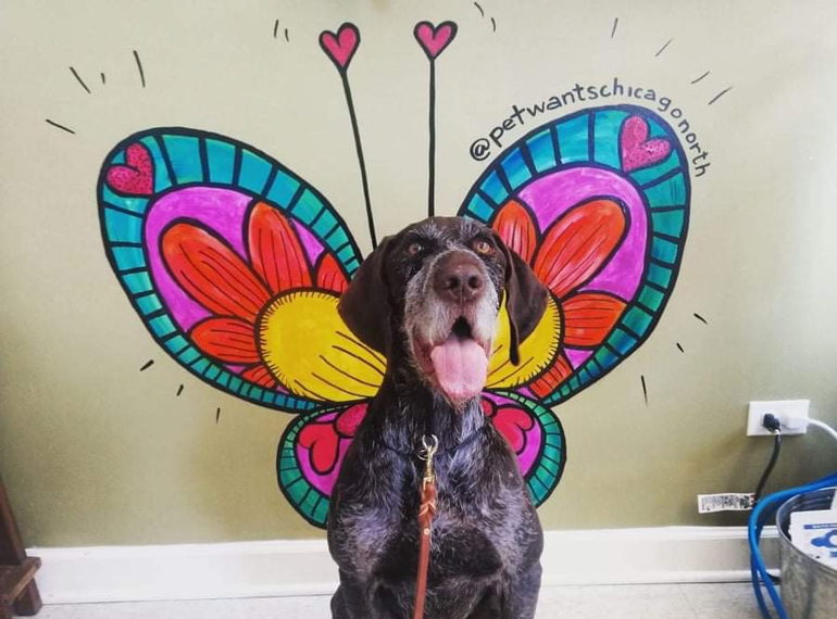 Fundraiser image