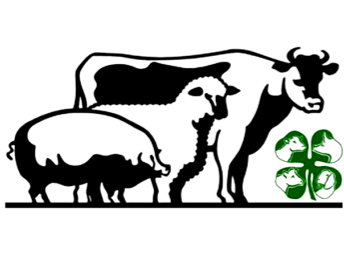 Fundraiser image