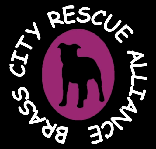 event logo