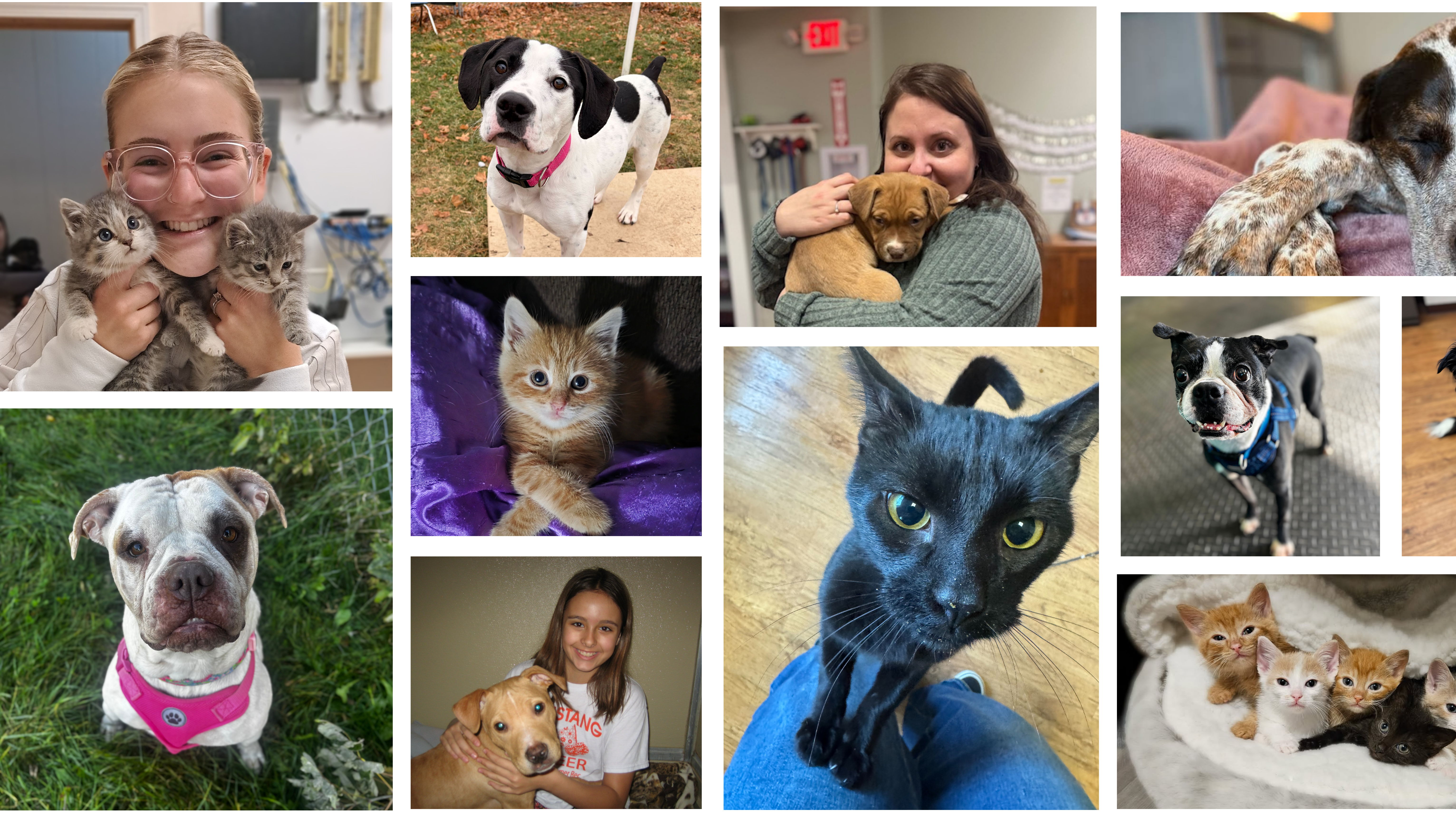 Tile Background image