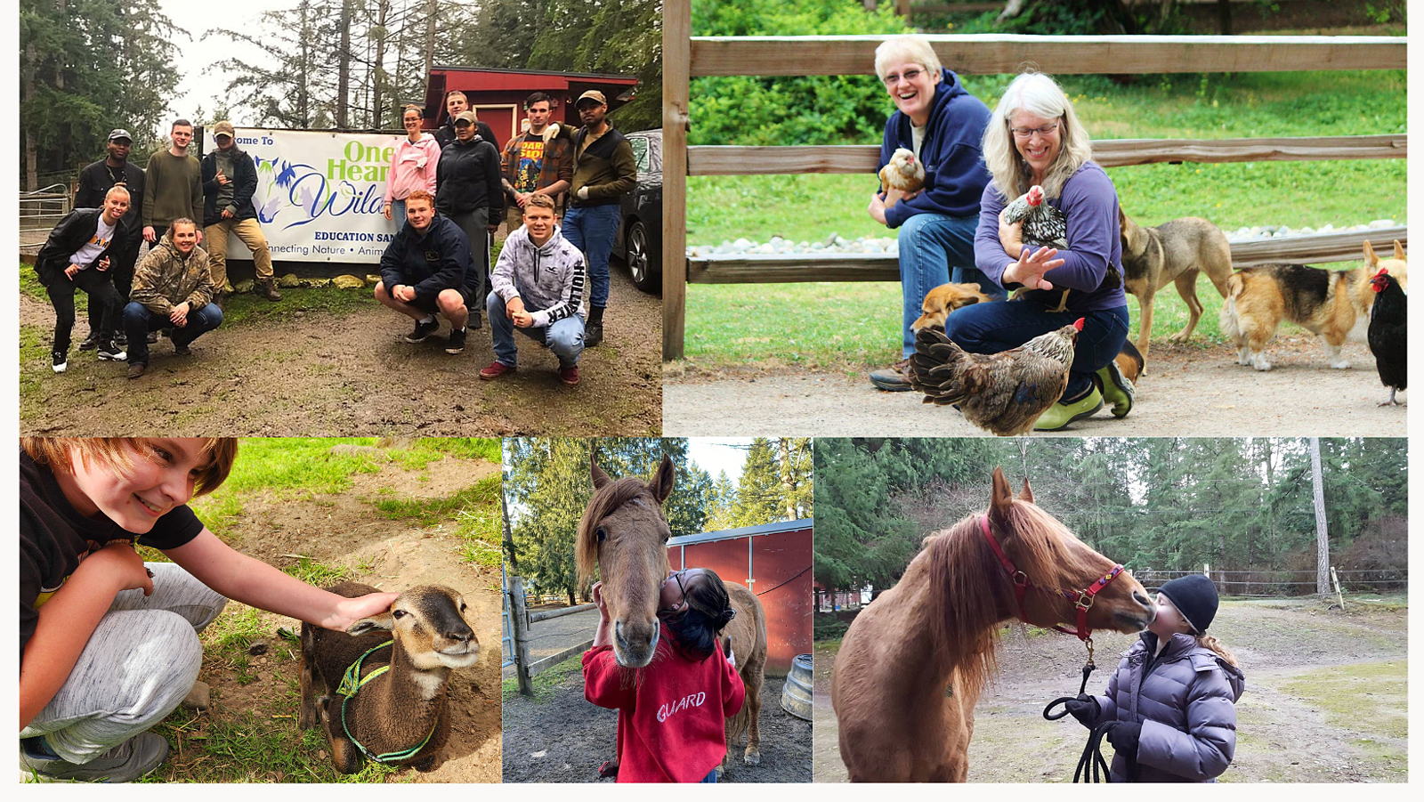 OHW- AAT, Animal Sanctuary 
