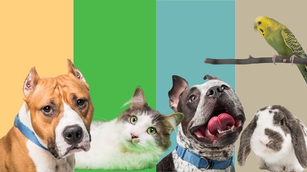 Tile background Image