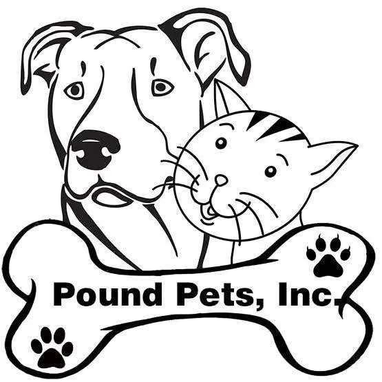 event logo