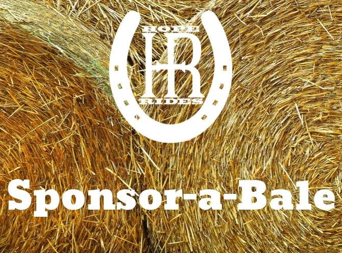 Fundraiser image