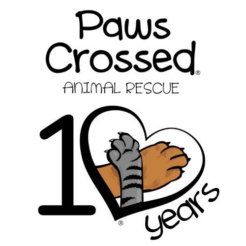event logo