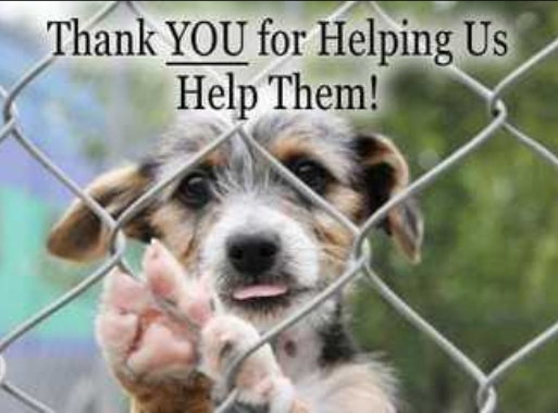 Fundraiser image