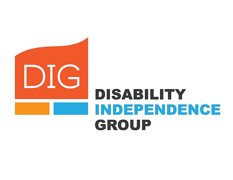 DIG Logo