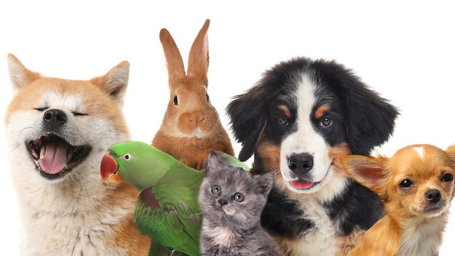 Fundraiser image