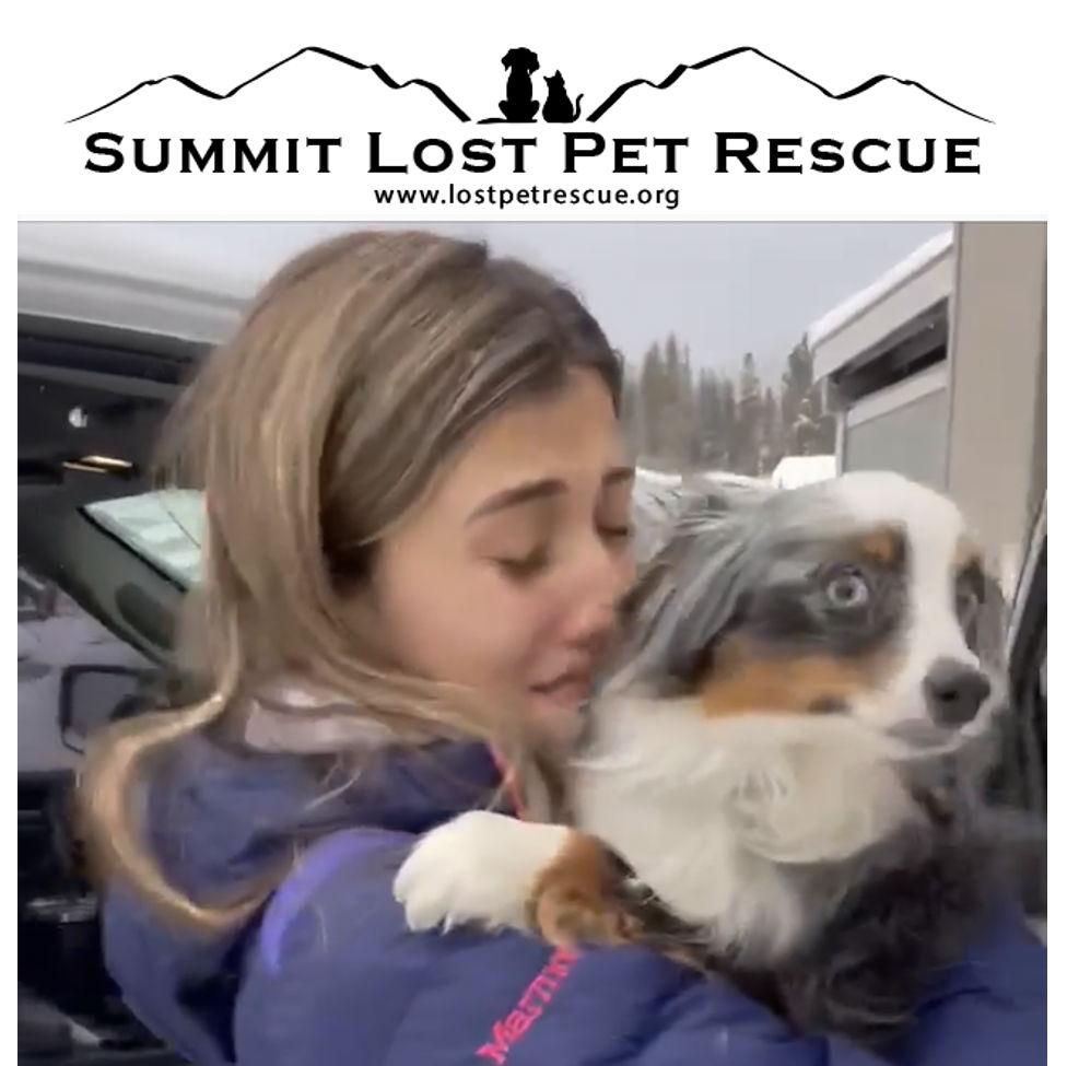 Summit Lost Pet Rescue Inc | ColoradoGives.org