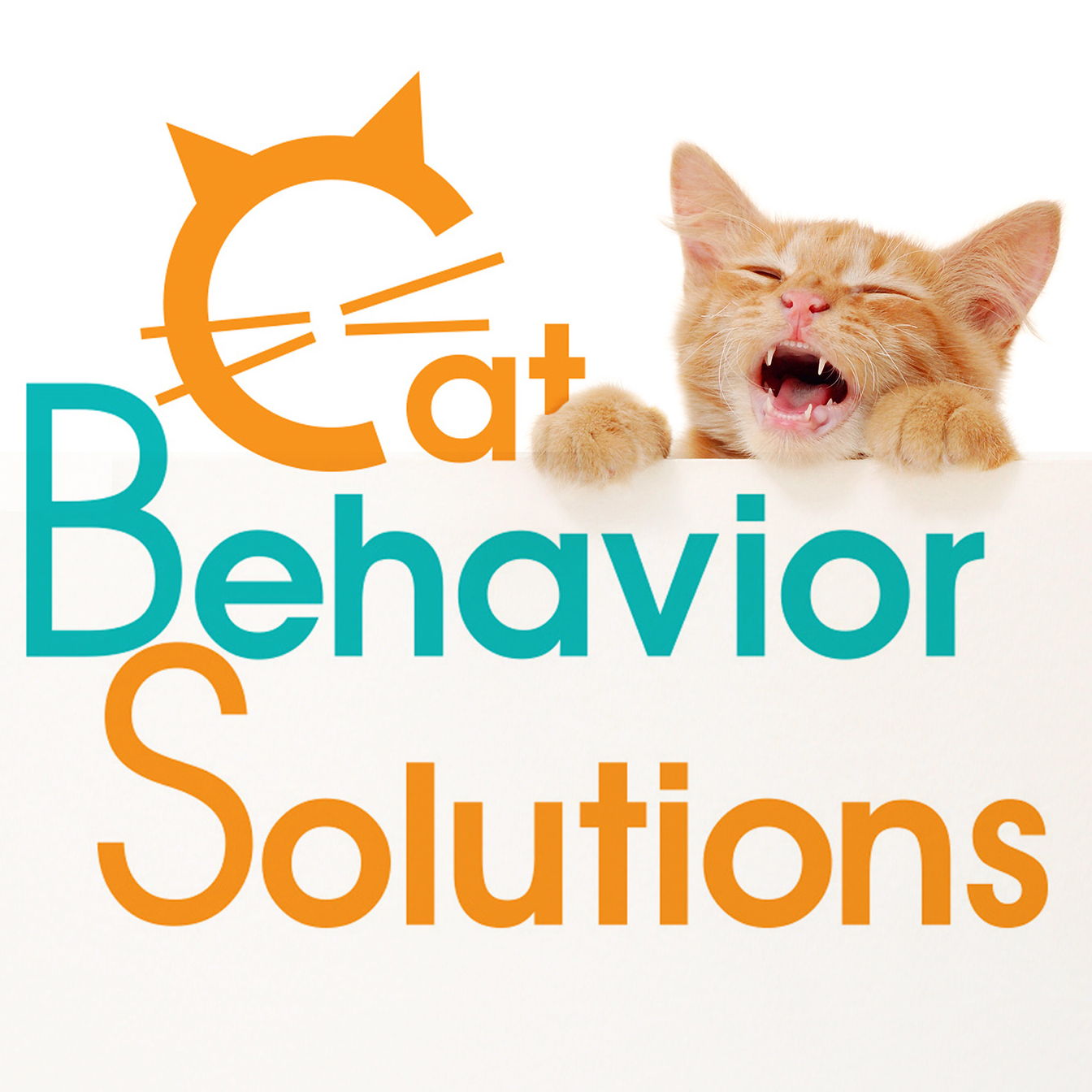 Photo inspiration: Picture Idea: Cat Behavior Solutions