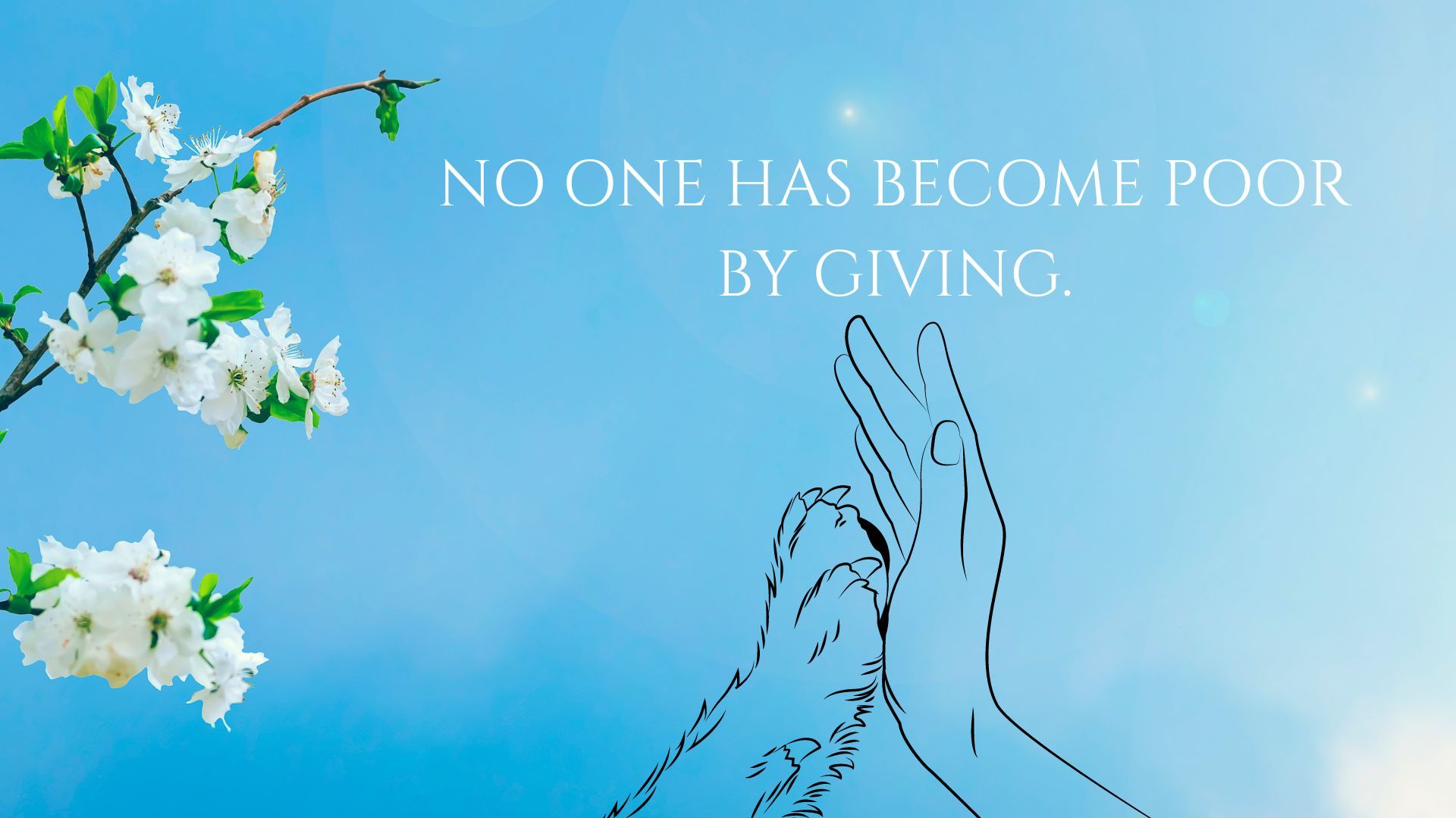 Fundraiser image