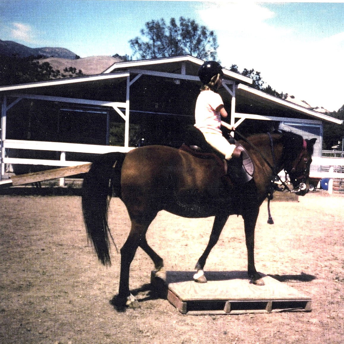 My barn in Calistoga pre-Tubbs fire with my Paso Fino mare, Pistolera, being ridden by a very competent rider with disabilities. https://www.youtube.com/watch?v=qBPP6RK08hM&t=7s