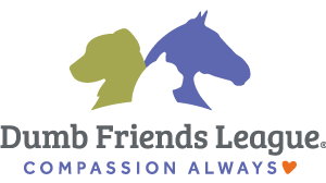 Fundraiser image