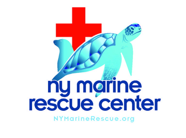 Fundraiser image
