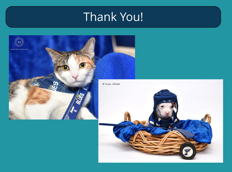 Fundraiser image