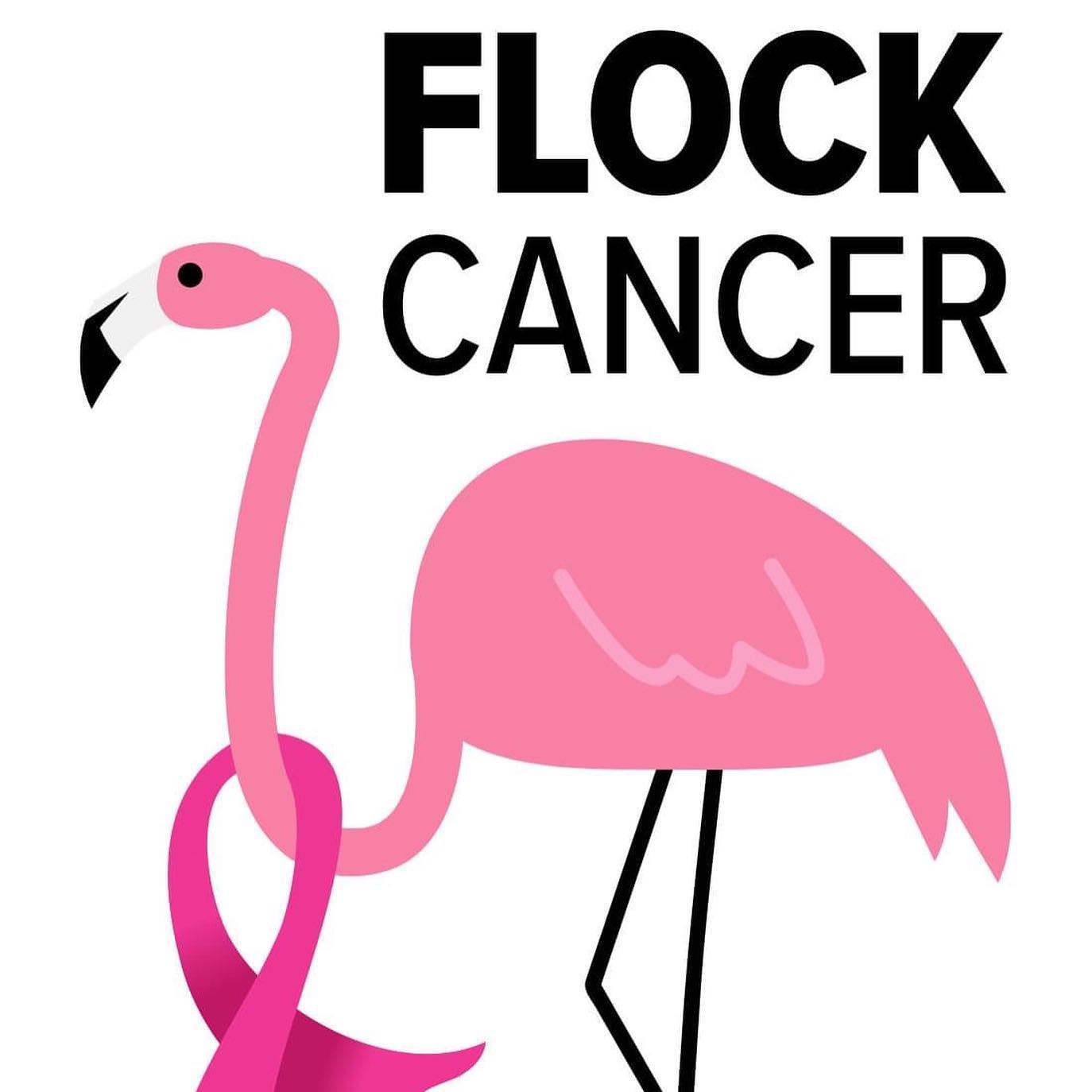 Flock Cancer Idaho Incorporated | Mightycause