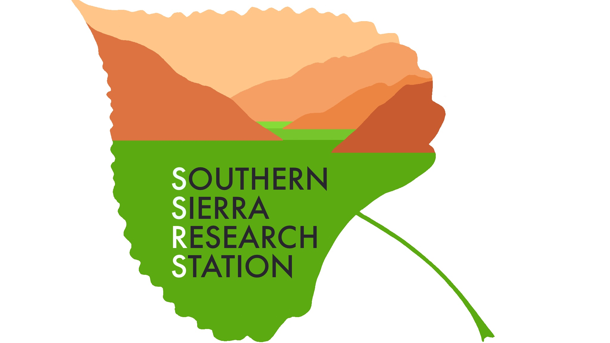 Fundraiser image