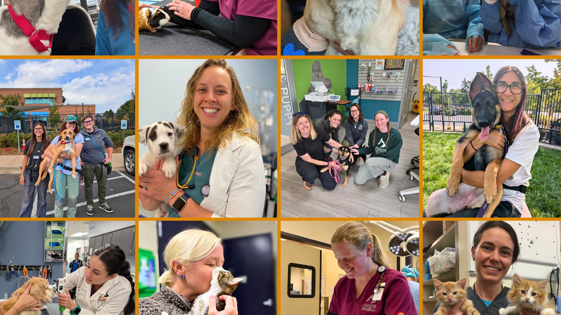 Help Me Give Animals a Second Chance | ColoradoGives.org