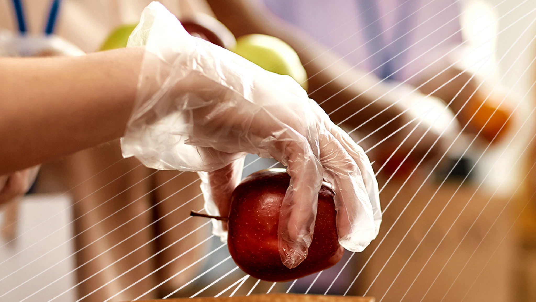 Fundraiser image