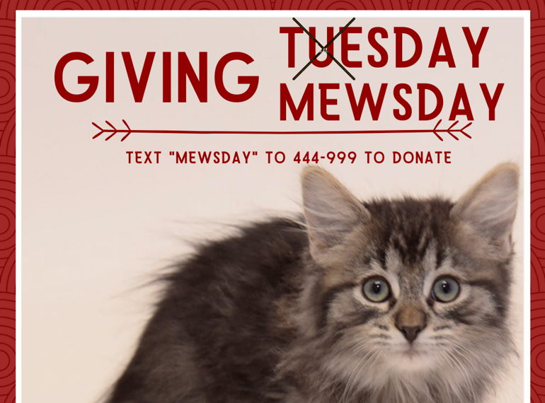 Fundraiser image