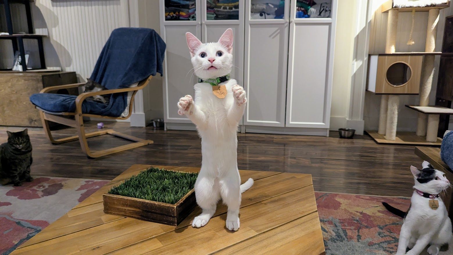Fundraiser image
