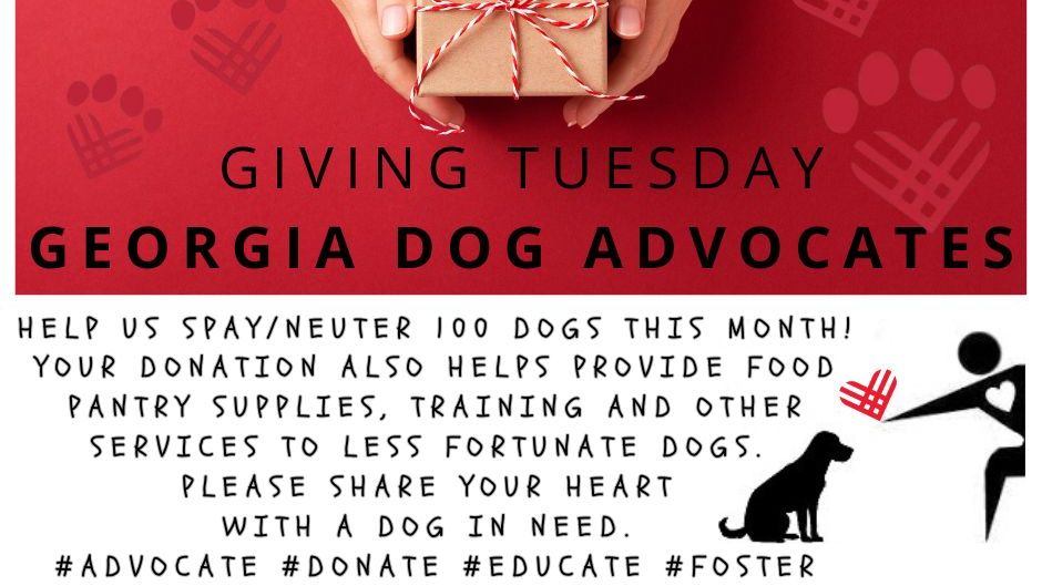 Fundraiser image