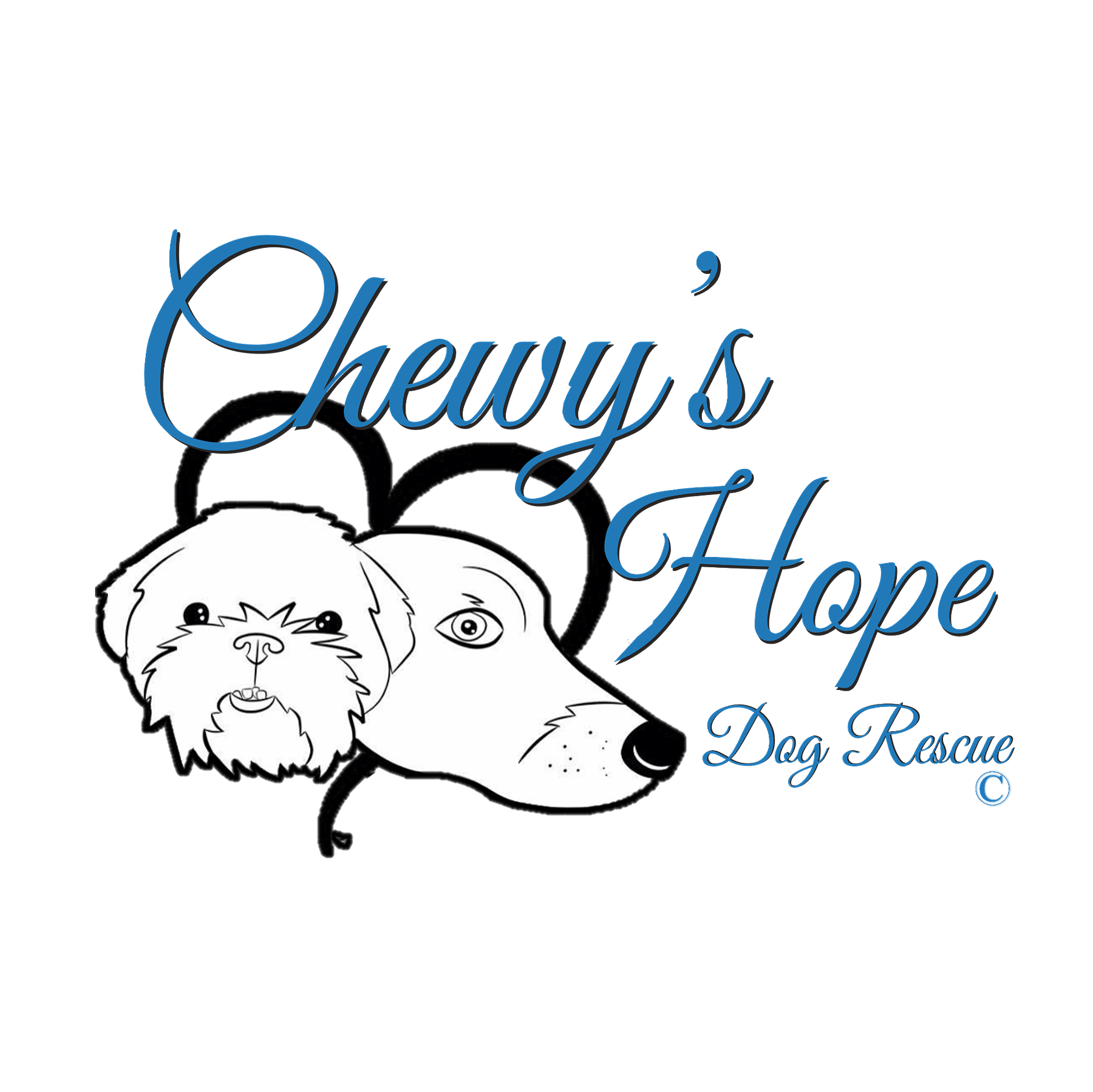 Chewy's Hope Dog Rescue NTX Giving Day