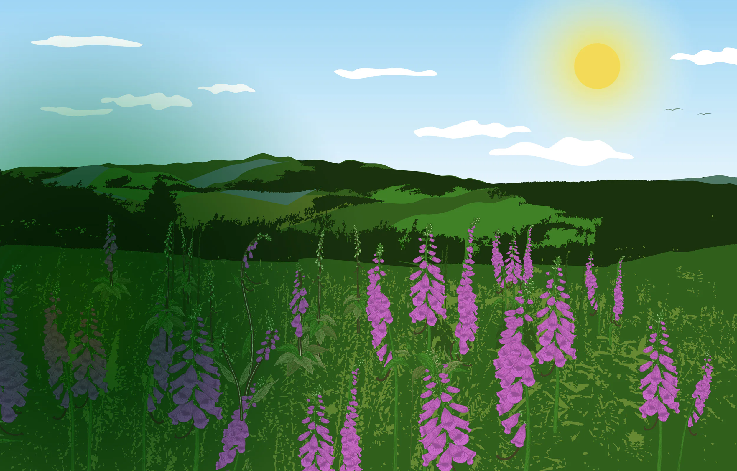 Block background image