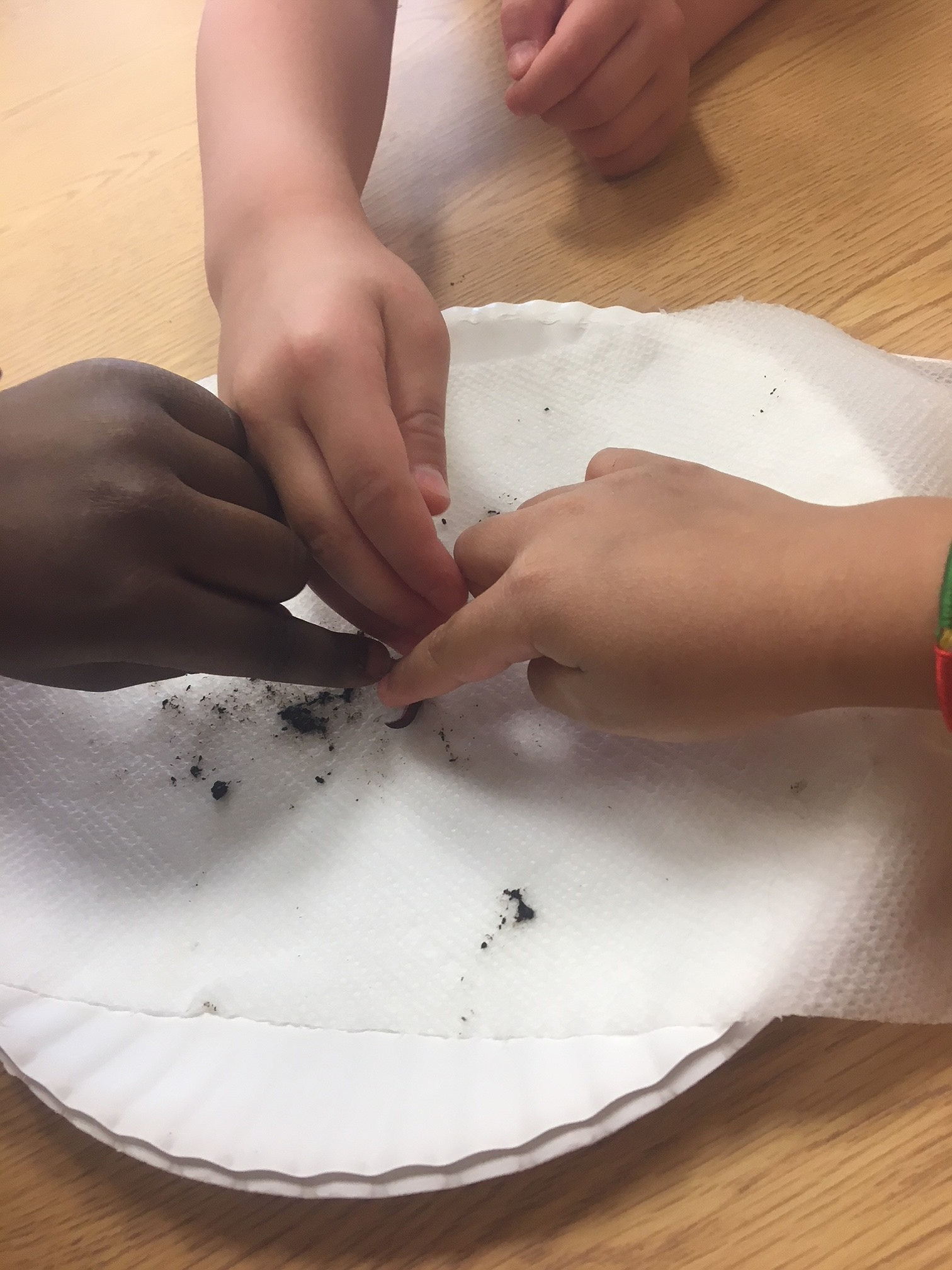 A close up of three young children's hands with different skin tones are all touching a worm.  The worm is on a paper plate on a brown classroom tabletop.