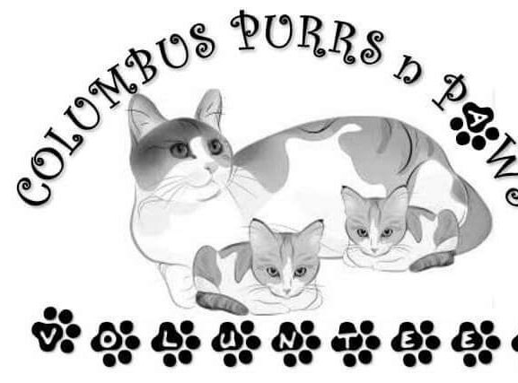 Fundraiser image