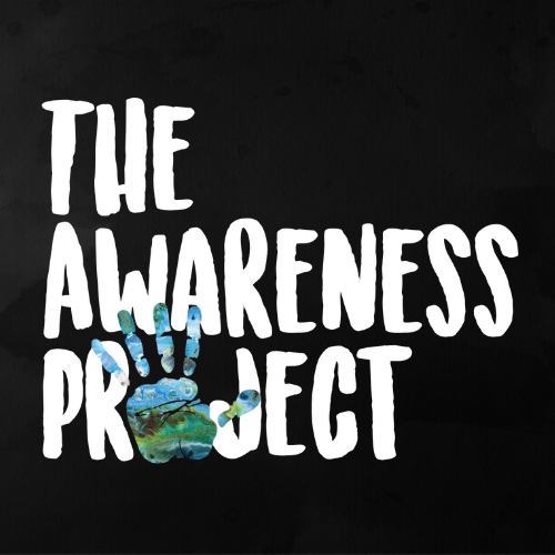 The Awareness Project | North Texas Giving Day