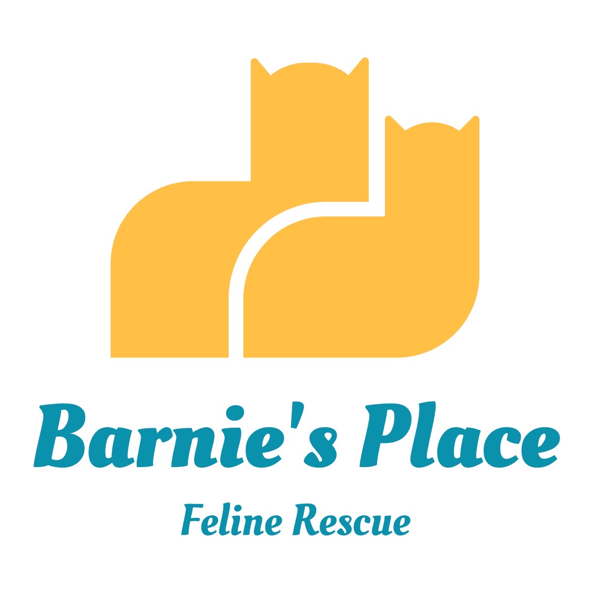 Barnies Place CoMoGives