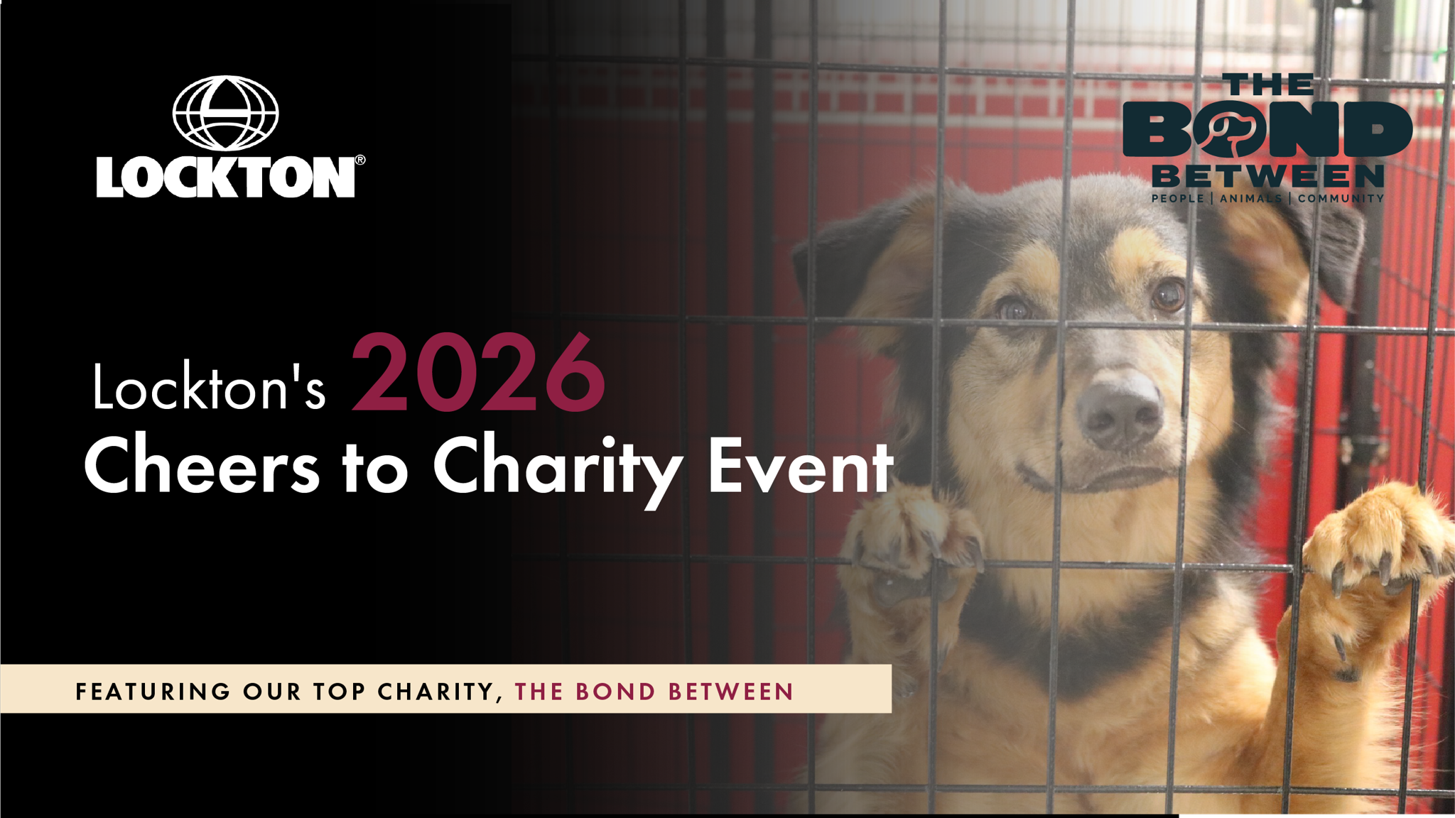 Fundraiser image