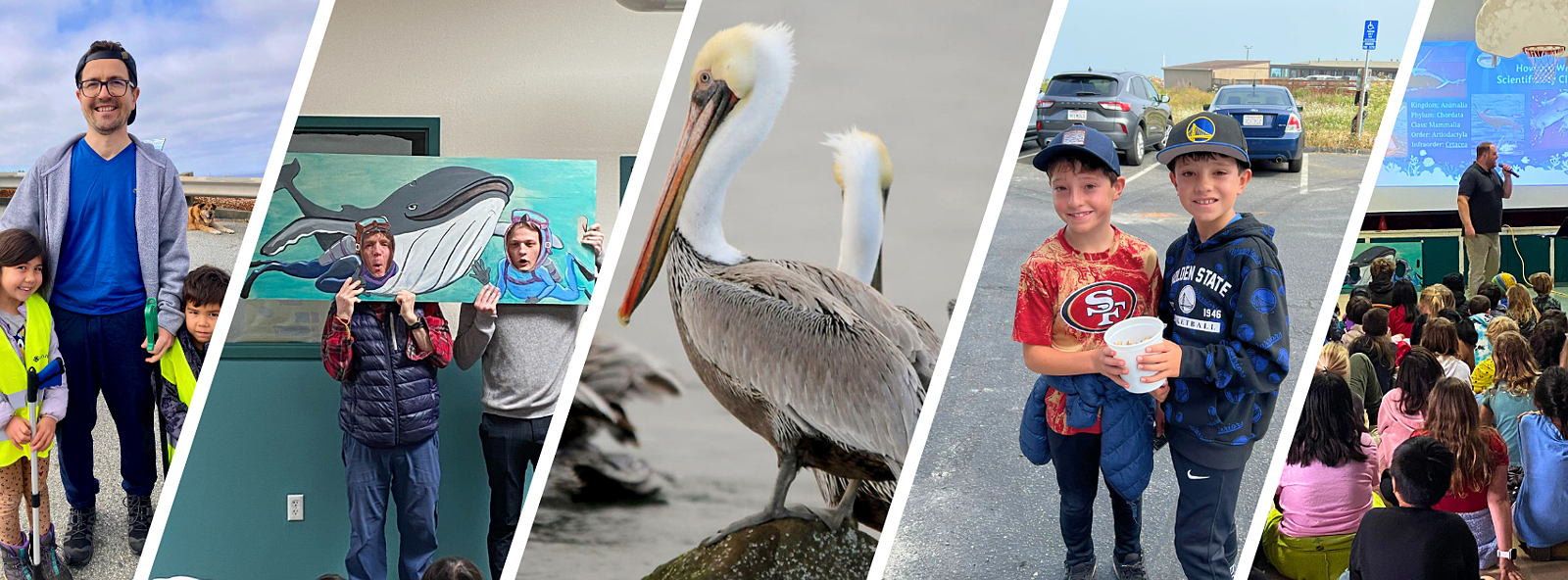 A collage of photos showcasing school assemblies, young volunteers at beach cleanups, teachers, and a pelican