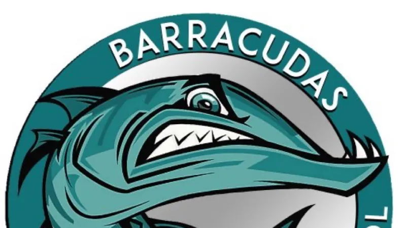 Fundraiser image