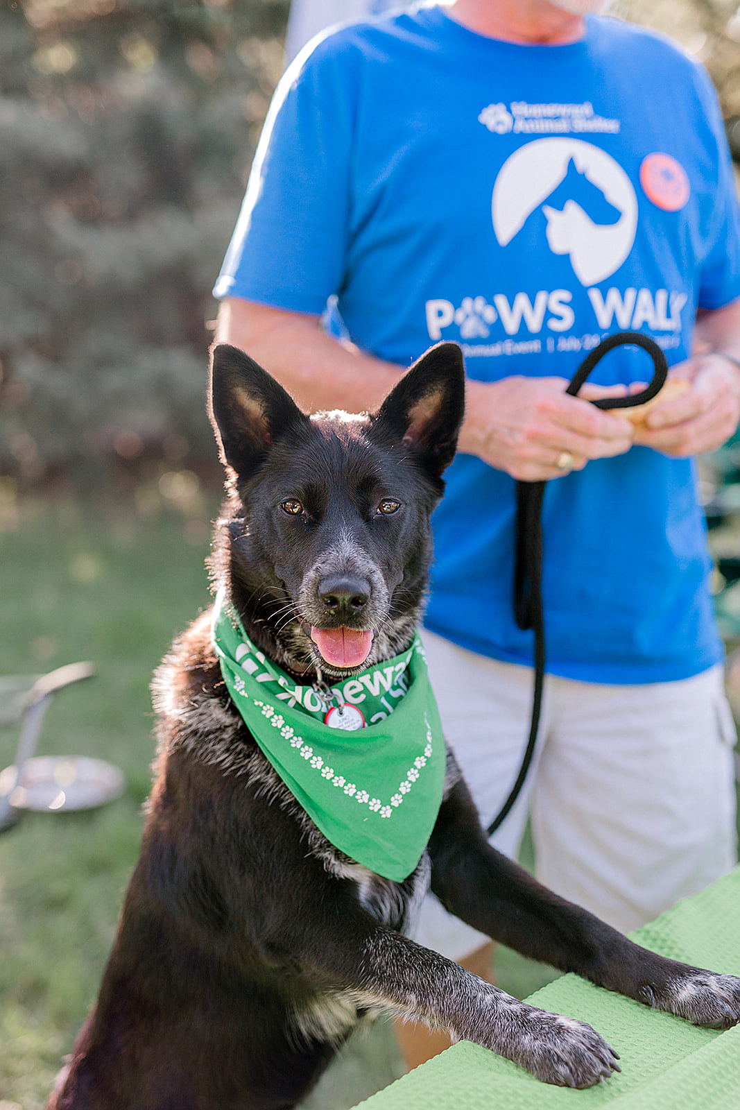 29th Annual PAWS WALK  Mightycause