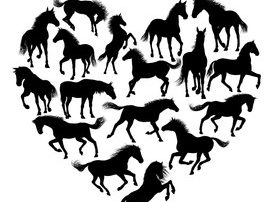 Fundraiser image