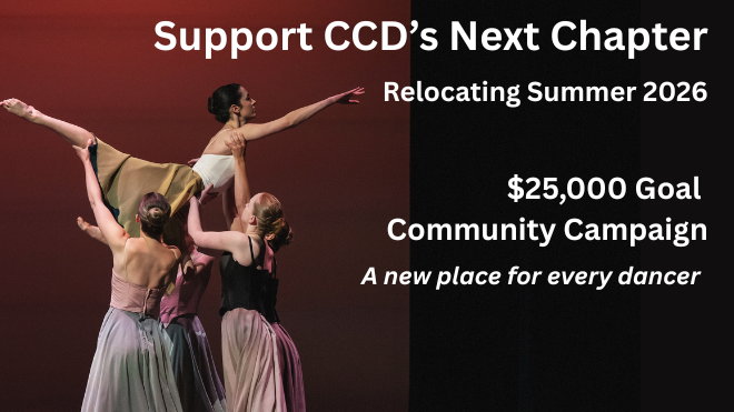 Fundraiser image
