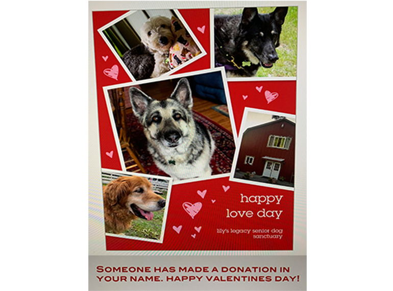 Fundraiser image